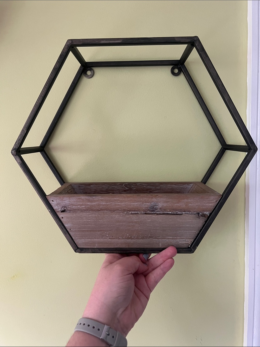 Hexagon Wall Shelf Planter - Metal & Rustic Wood